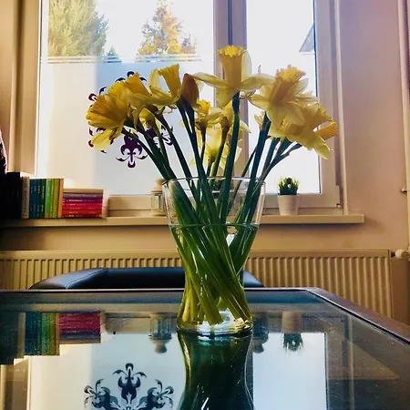 Hostel24 * ビィドゴシュチュ